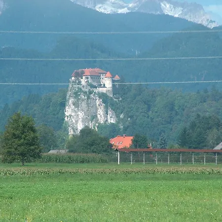 Appartement Renata Bled